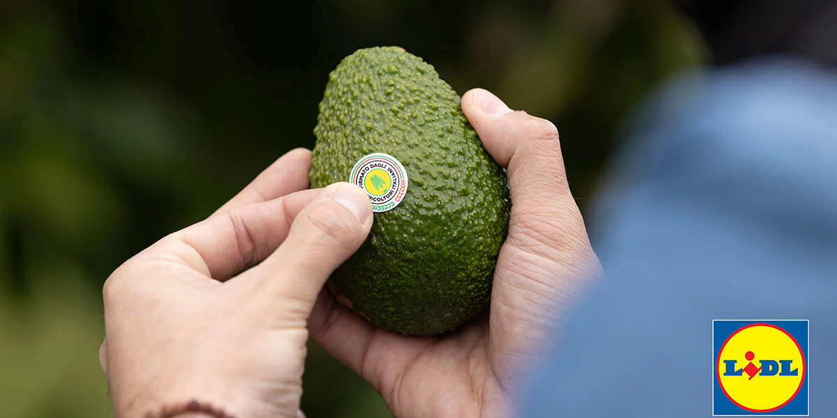 Lidl sostiene l'avocado siciliano